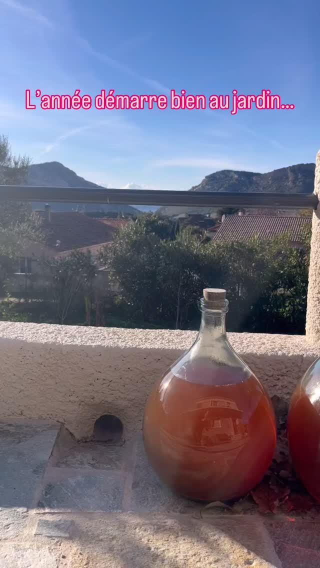 Il est temps de s’occuper du jardin et de tailler les vignes, les caroubiers, les mûriers, néfliers…☺️