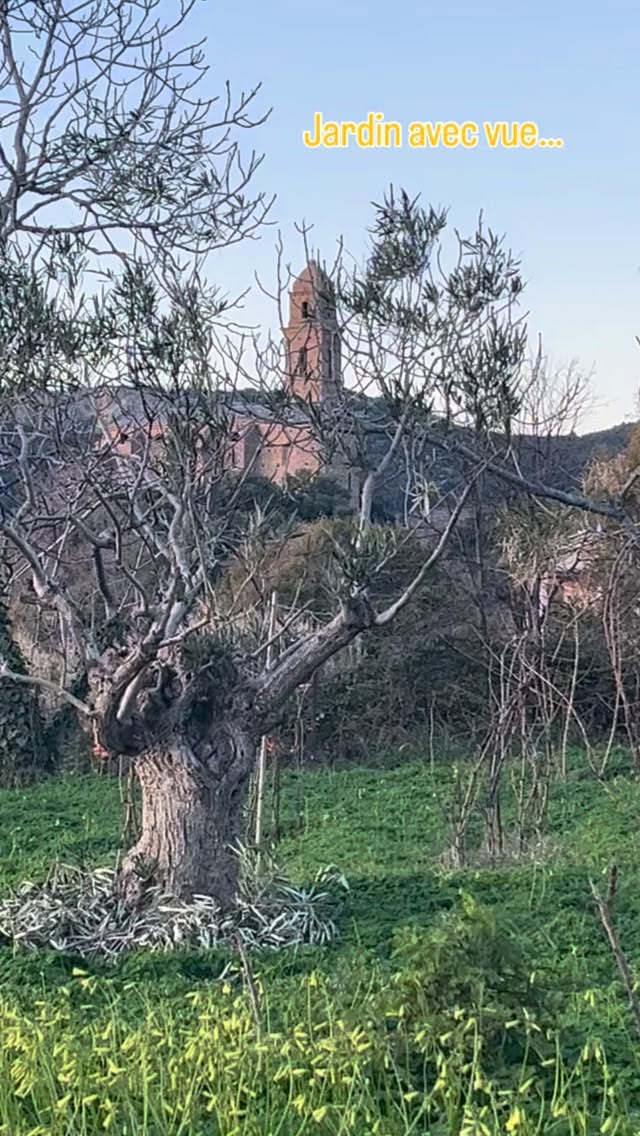 Comment se lasser de cette magnifique vue depuis notre jardin sur l’île de Beauté…
